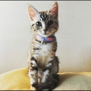 Meet your Posher, Jenna